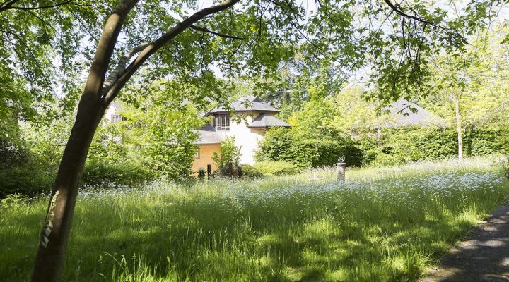 Kingsman House Extensive Garden Area