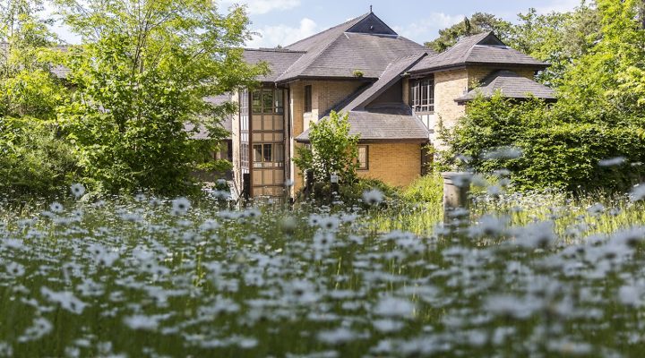 Another View of Kingsman House's Garden