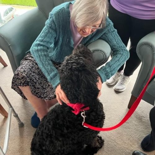 animal therapy dementia care