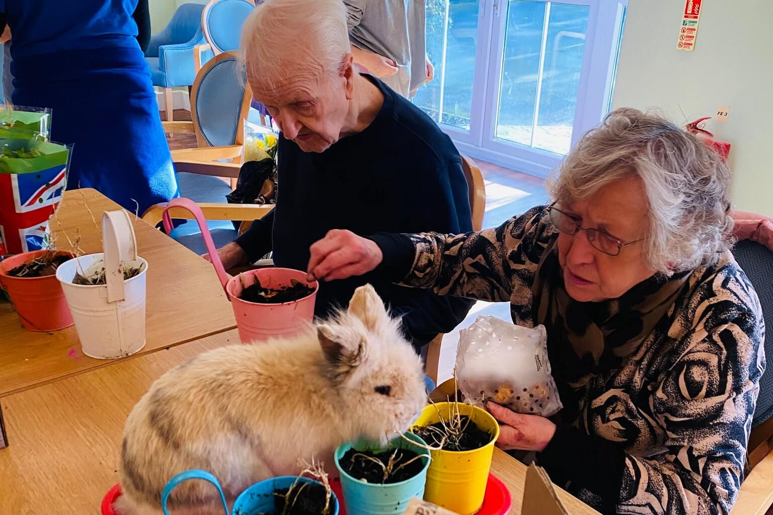 animal therapy in dementia care