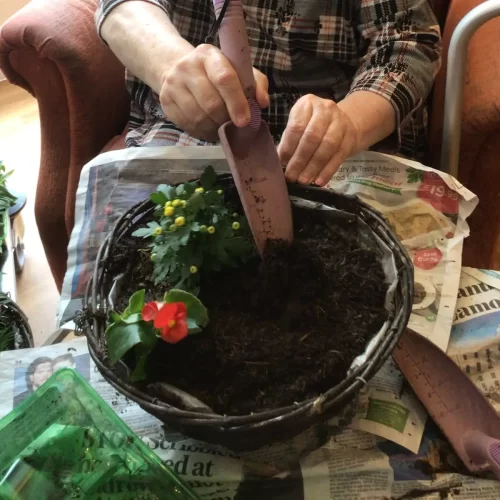 Gardening Therapy at LuxuryCare
