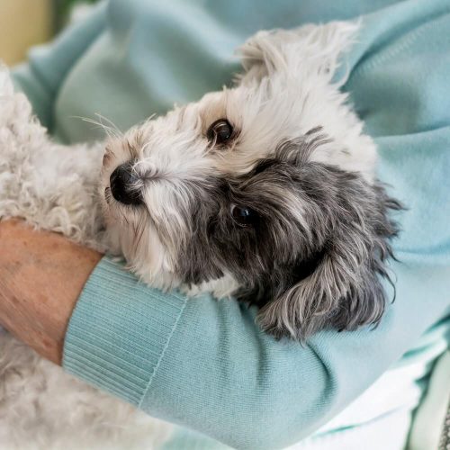 elderly woman and dog