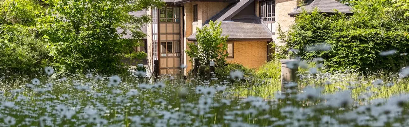 Kingsman House Garden