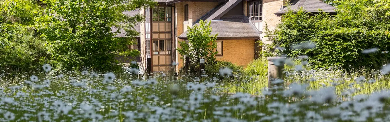 Kingsman House Garden